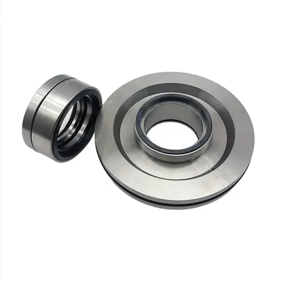 JCS1C-115-QREO-148931 Cartridge Mechanical Seal for Andritz S&ACP Pump