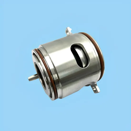 Cartridge Mechanical Seal Shaft Seals for Pump GLF-32X SEV.80.100.110.2.51D