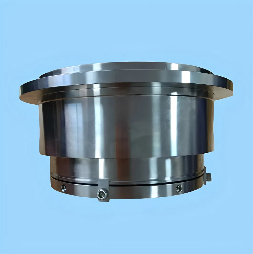 Mechanical Seal for Seepex Pump BN300-6L