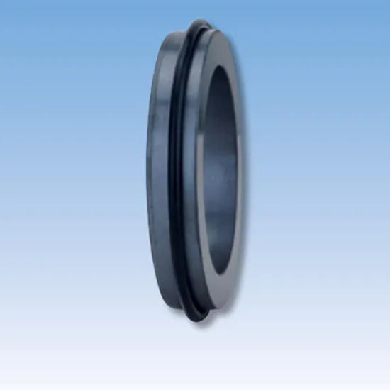 28TS C12 Mechanical Seals Seat Series for Pumps