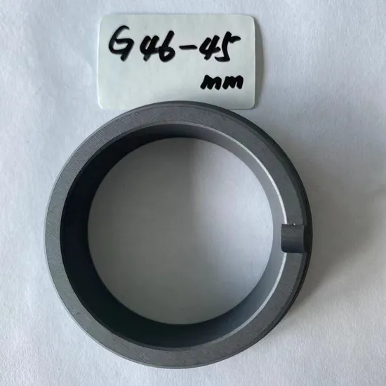 Stationary Ring G46 Seals Ring  SIC Ring  Carbon Ring  for  All Kinds of  Mechanical  Seals