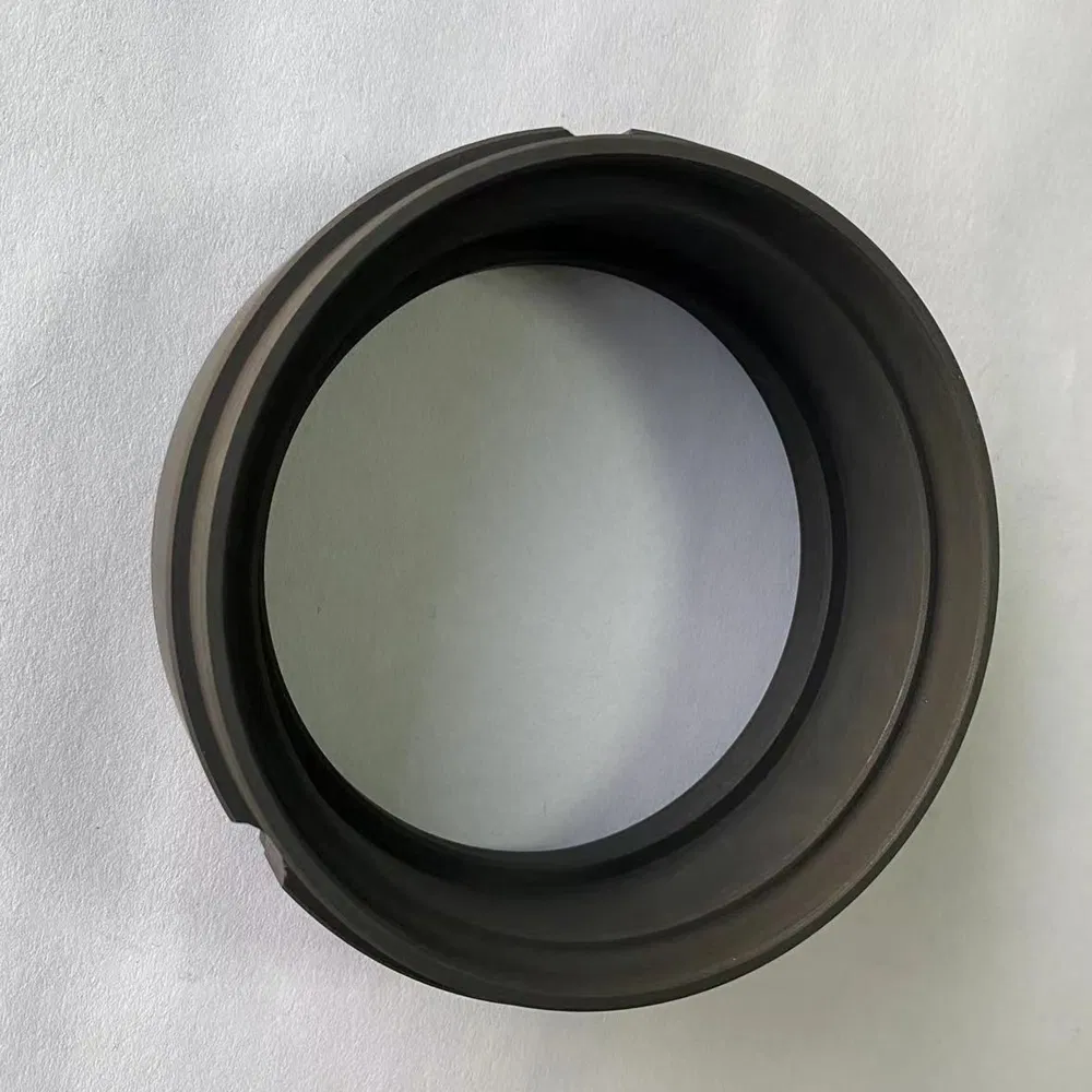 Stationary Ring Seals Ring Carbon Ring for All Kinds of Mechanical Seals