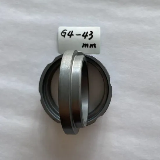 Stationary Ring G4  Seals Ring  SIC Ring  Carbon Ring  for  All Kinds of  Mechanical  Seals