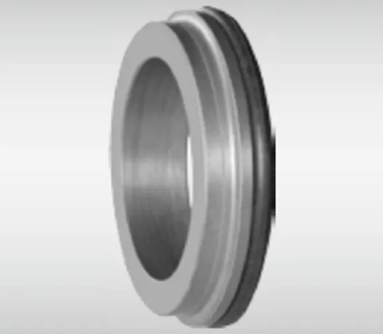 WG BC Stationary Seat Series for Pumps