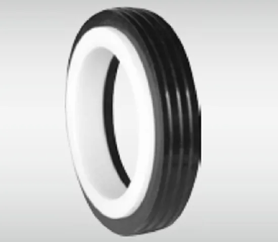 WG CT20-1 Stationary Seat Series for Pumps