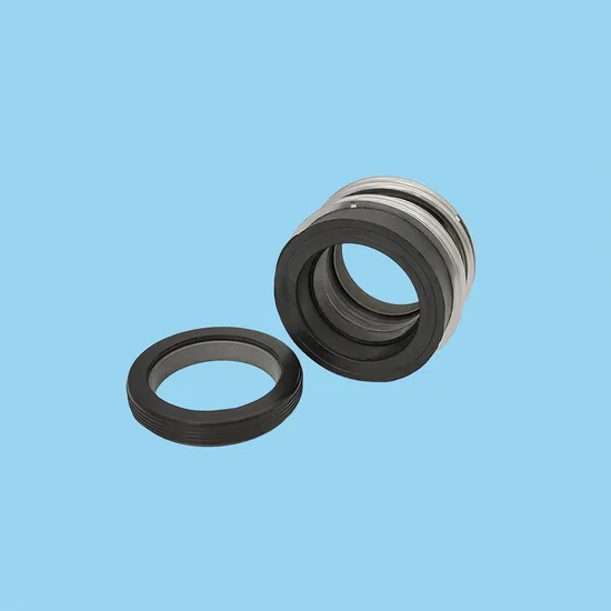 Reliable Bergmann MG12 Pump Mechanical Seals for All King of Pump