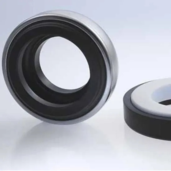 66 BT-AR Mechanical Seals for Pumps Pusher Seals