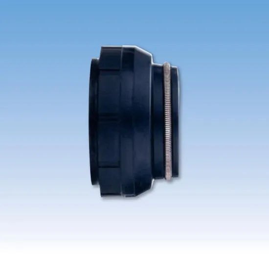 87TS PB19 Elastomer Bellow Mechanical Seals for Pumps