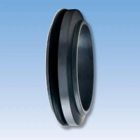 20TS C04 Mechanical Seals Seat Series for Pumps
