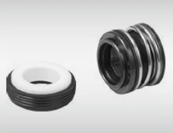 WG 65 Elastomer Bellow Mechanical Seals for Pumps