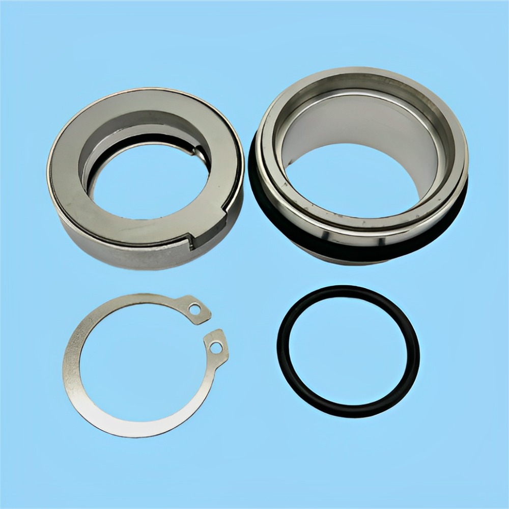 High Temperature and Corrosion Resistant OEM Mechananical Seal FS-D-U45 FS-K-L35 PUMP Kits FKL FOU 45