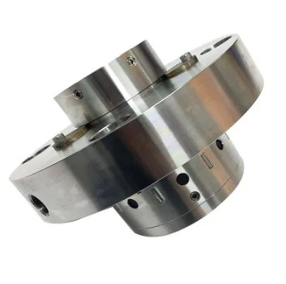 TS 8B1D Mechanical Seal