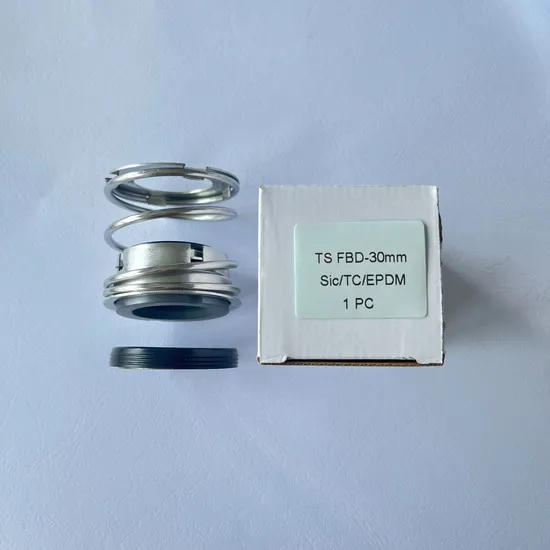 TS FBD Mechanical Seals for Pumps Pusher Seals