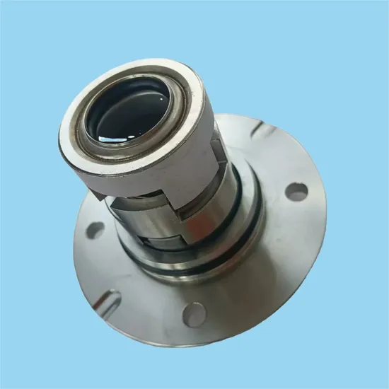 CHINA MANUFACTURER of GLFT CR-4R GL CDLC 12 16 22 mm Mechanical Seal Cartridge Seal