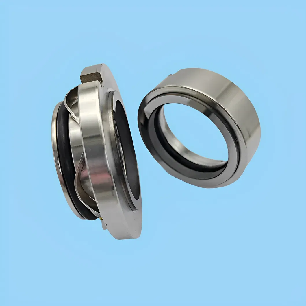 Rotary Pumps Mechanical Seal for Rotor Pump, Shaft Size 35mm TC/TC/VIT
