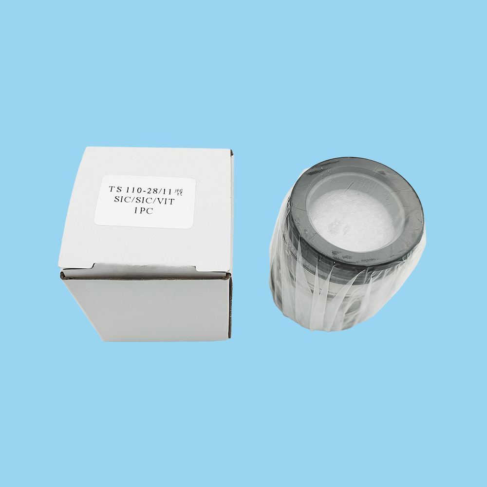 TS 110 Mechanical Seals for Pumps Pusher Seals
