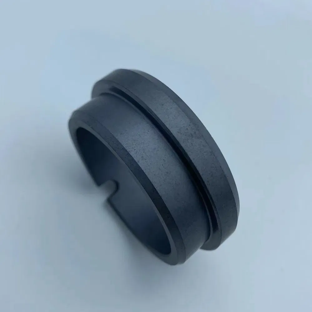 Stationary Ring G9 Seals Ring SIC Ring Carbon Ring for All Kinds of Mechanical Seals