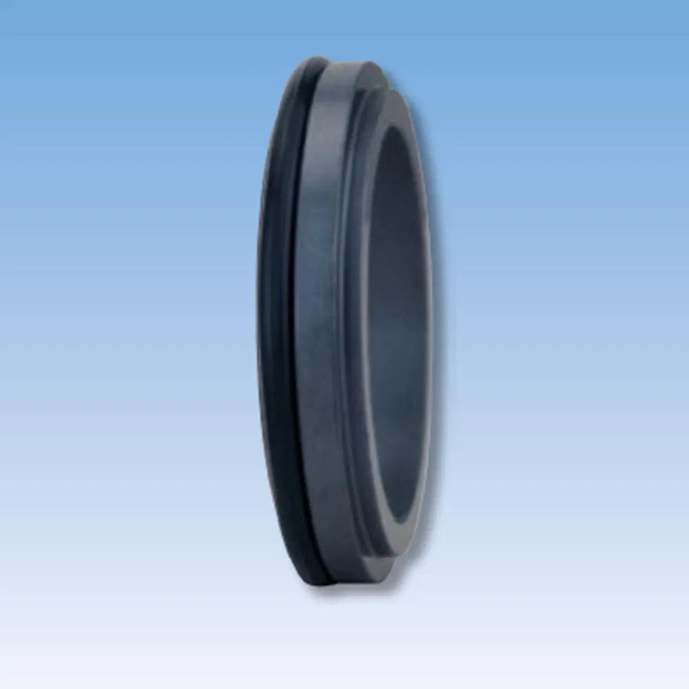 33TS C19 Mechanical Seals Seat Series for Pumps