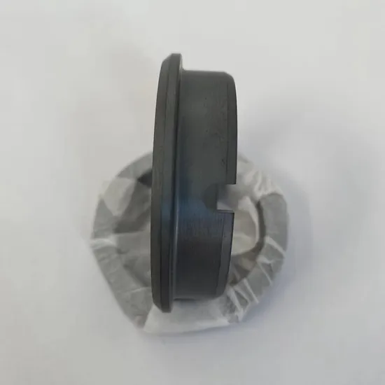 Stationary Ring G16 Seals Ring  SIC Ring  Carbon Ring  for  All Kinds of  Mechanical  Seals