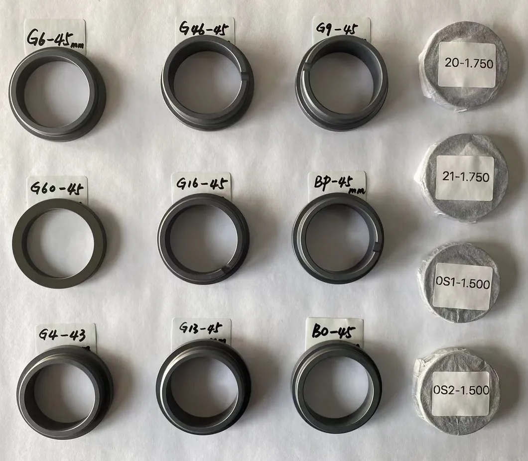 Stationary Ring G13 Seals Ring SIC Ring Carbon Ring for All Kinds of Mechanical Seals