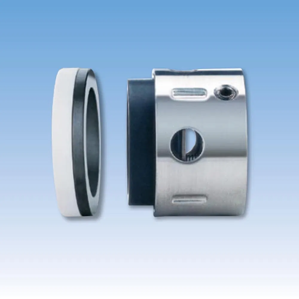 97TS PQ05 PTFE Wedge Mechanical Seals for Pumps