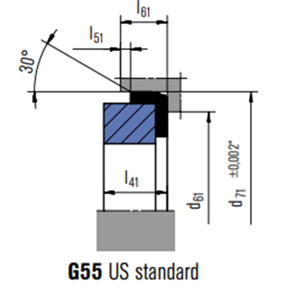 60 MG9 Mechanical Seals for Pumps Pusher Seals