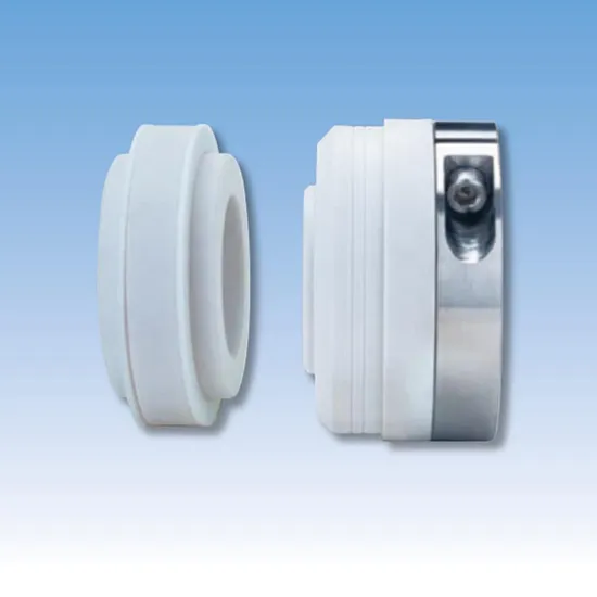 90TS PB28A Elastomer Bellow Mechanical Seals for Pumps