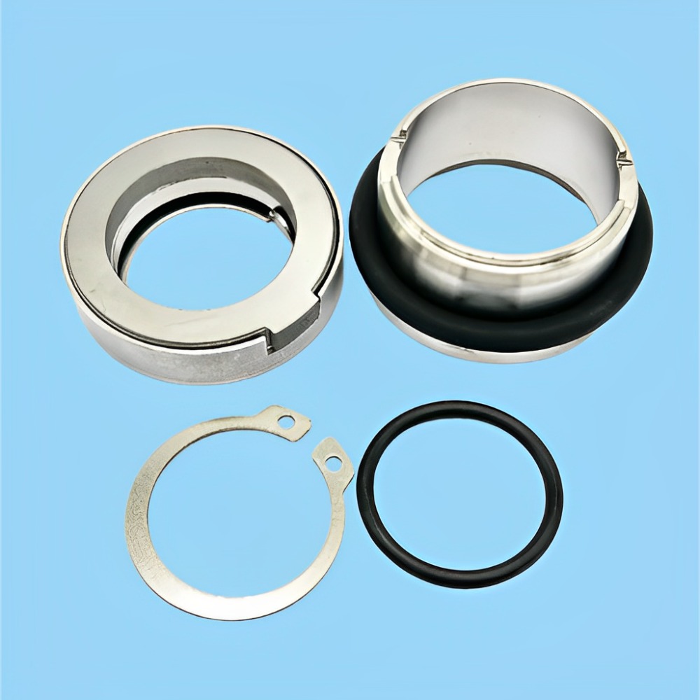 High Temperature and Corrosion Resistant Hardware Mechanical Seals FKL FOU 45 FS-D-U45 FS-K-L35 PUMP Kits